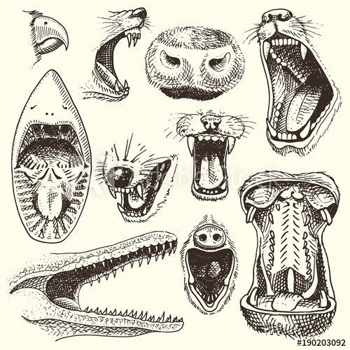 500x500 Animals With Open Mouth Vector Heads Of Roaring Animals Angry Lion