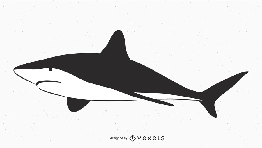 900x509 Big Shark Vector