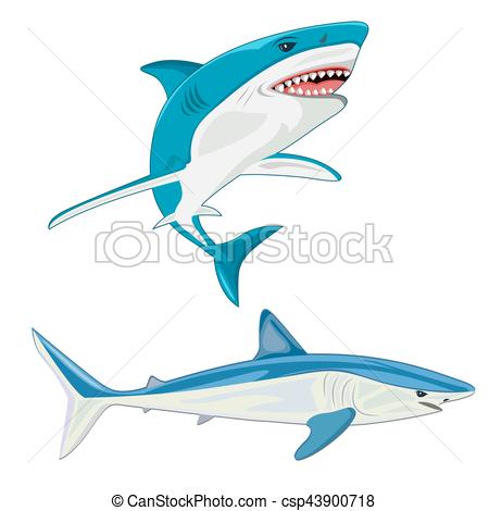 450x470 Shark. Vector Illustration.