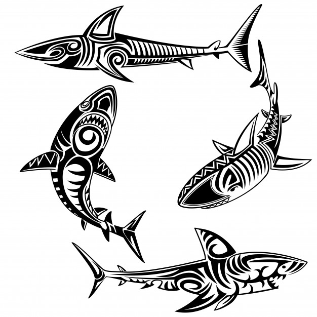 626x626 Tribal Shark Vector Set Vector Premium Download