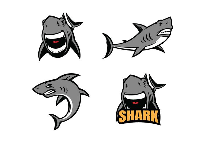 700x490 Free Shark Vector