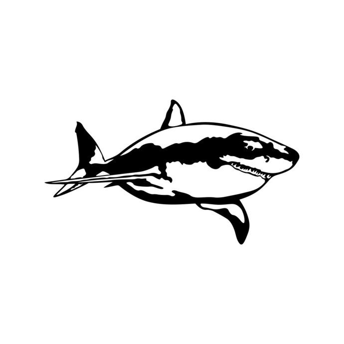690x690 Great White Shark Graphics Design Svg Dxf Eps By Vectordesign
