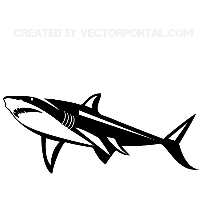 660x660 Shark Vector Graphics