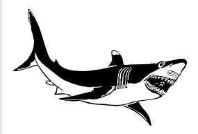 285x194 Shark Graphic
