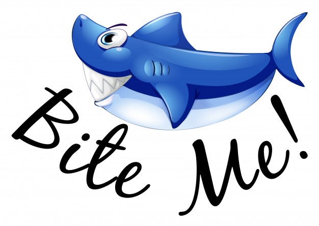 626x444 Shark Vectors, Photos And Psd Files Free Download