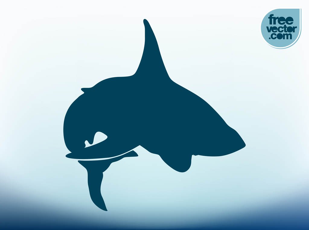 1024x765 Vector Shark Vector Art Amp Graphics
