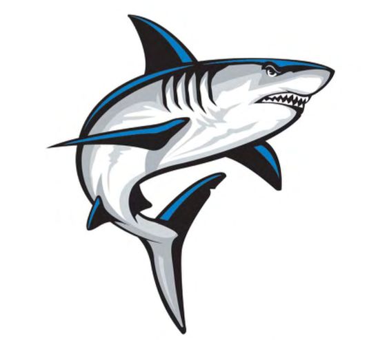 564x494 The Best Of Shark Logo .jpg And Vector