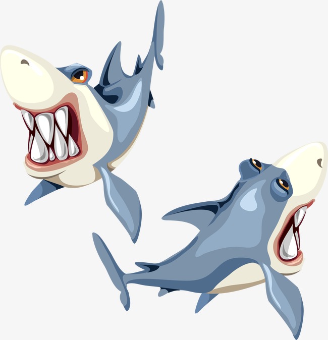 650x674 Vector Shark, Shark, Vector, Ocean Png And Vector For Free Download