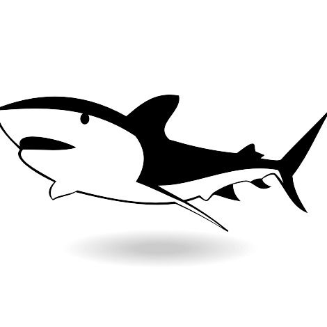 Shark Vector Free Download at GetDrawings | Free download