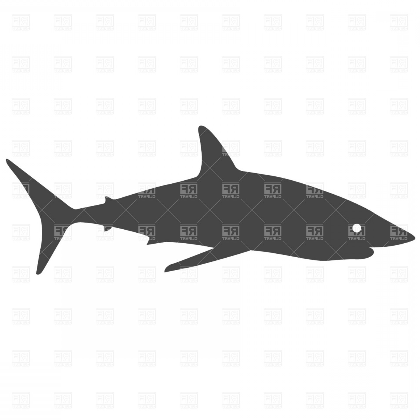 1440x1440 Cute Cartoon Baby Shark Vector Clipart Orangiausa