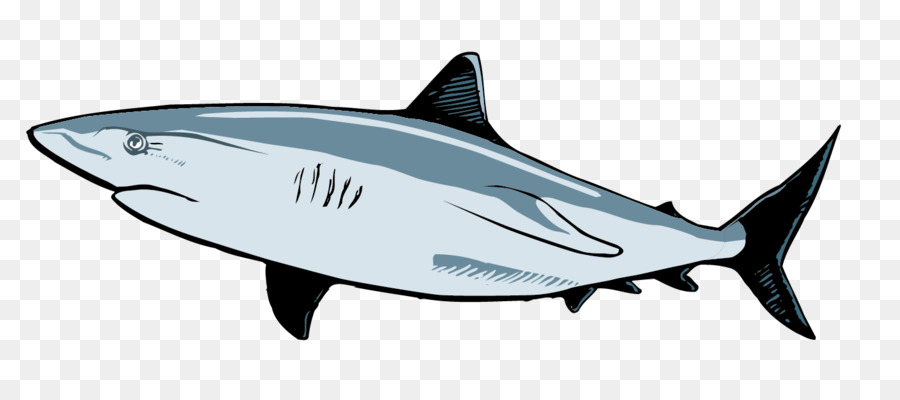 900x400 Requiem Shark Great White Shark Clip Art