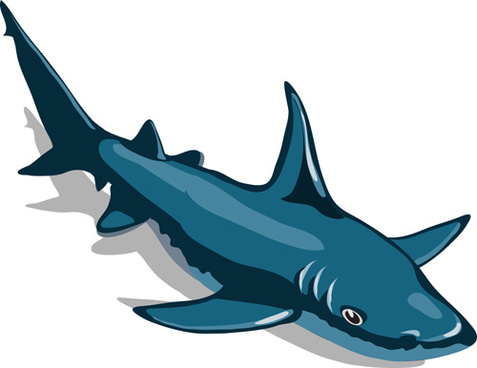 477x368 Shark Free Vector Download (128 Free Vector) For Commercial Use