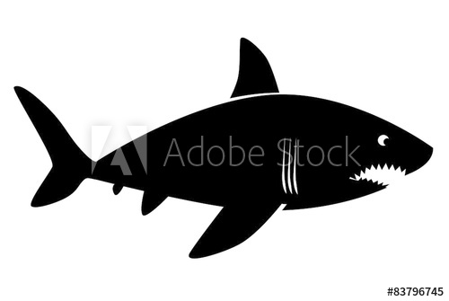 500x335 Shark Vector Image