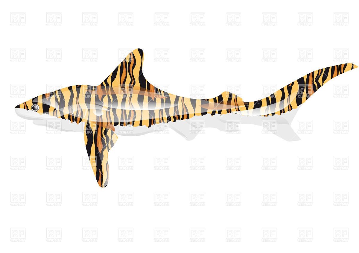 1200x845 Tiger Shark Vector Image Vector Artwork Of Plants And Animals