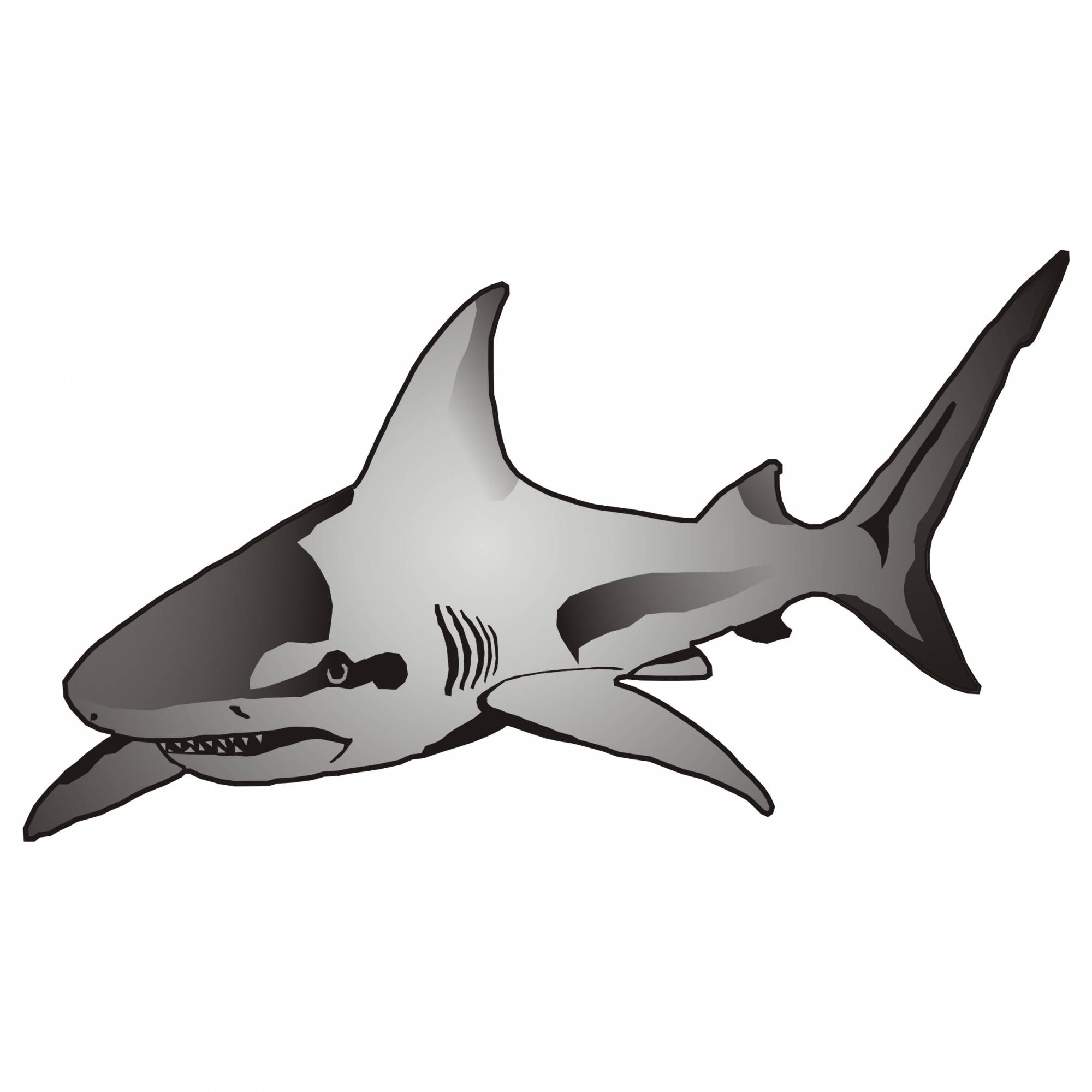 2000x2000 Vector For Free Use Shark