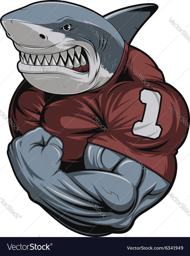 799x1080 Angry White Shark Vector Image By Andrey1005 Illustration In