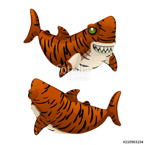 500x500 Cartoon Tiger Shark Bares His Sharp Teeth Isolated On White