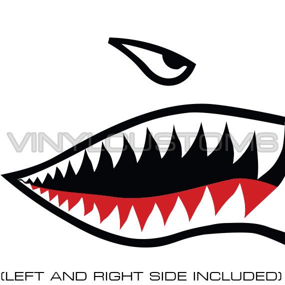 570x570 Tiger Shark Clipart Sharp Tooth