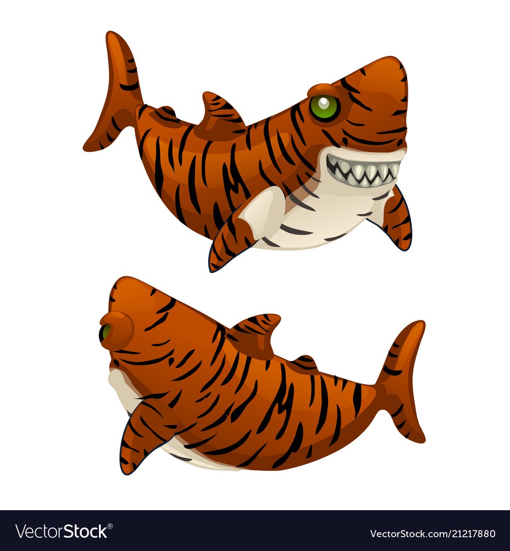 1000x1080 Cartoon Tiger Shark Bares His Sharp Teeth Isolated Vector 21217880