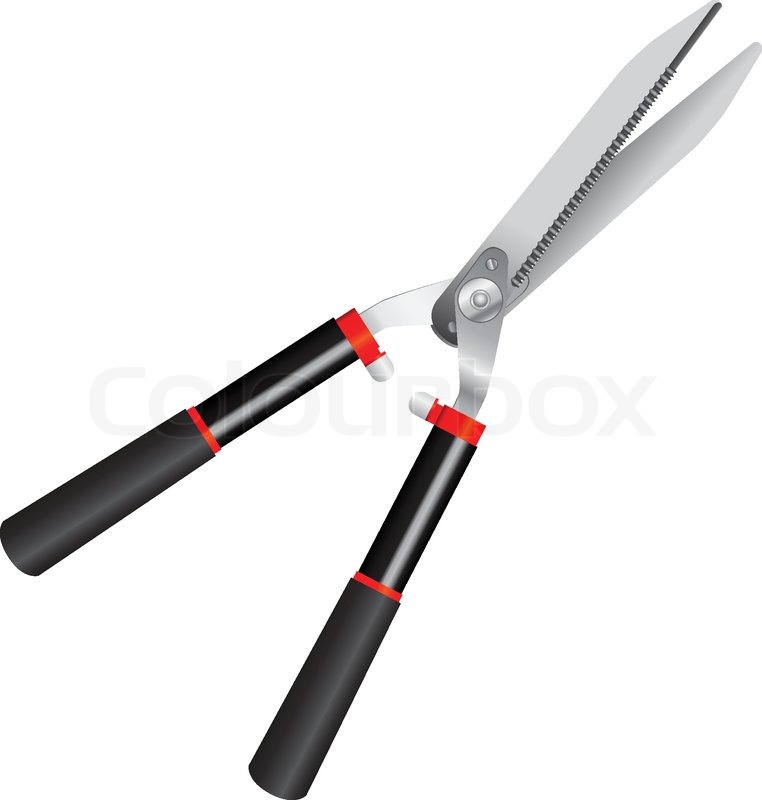 762x800 Large Garden Shears Stock Vector Colourbox