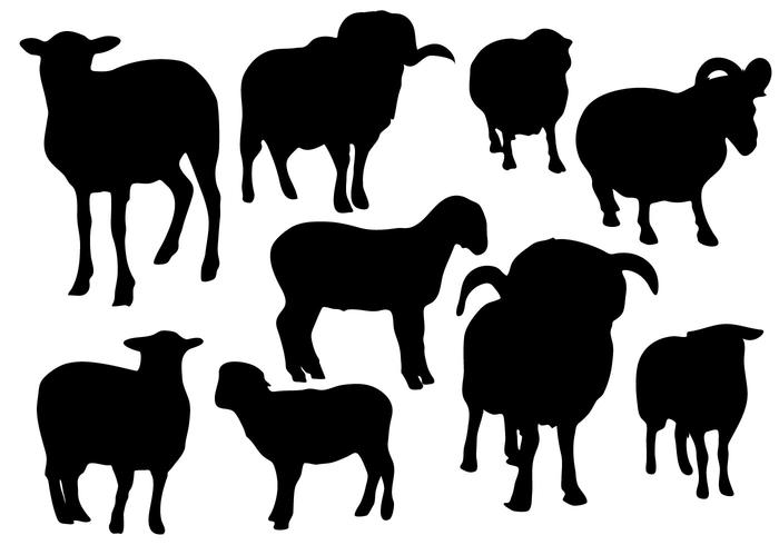 700x490 Sheep Free Vector Art