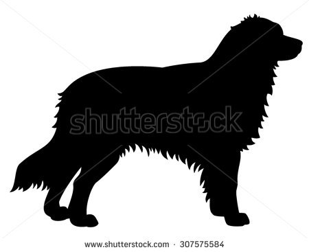 450x367 Bedouin Shepherd Dog Clipart Collection