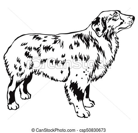 450x435 Decorative Standing Portrait Of Dog Australian Shepherd Vector