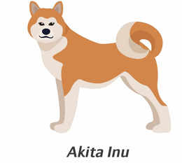 260x233 Download Vector Graphics Clipart Dog Breed Shiba Inu Puppy