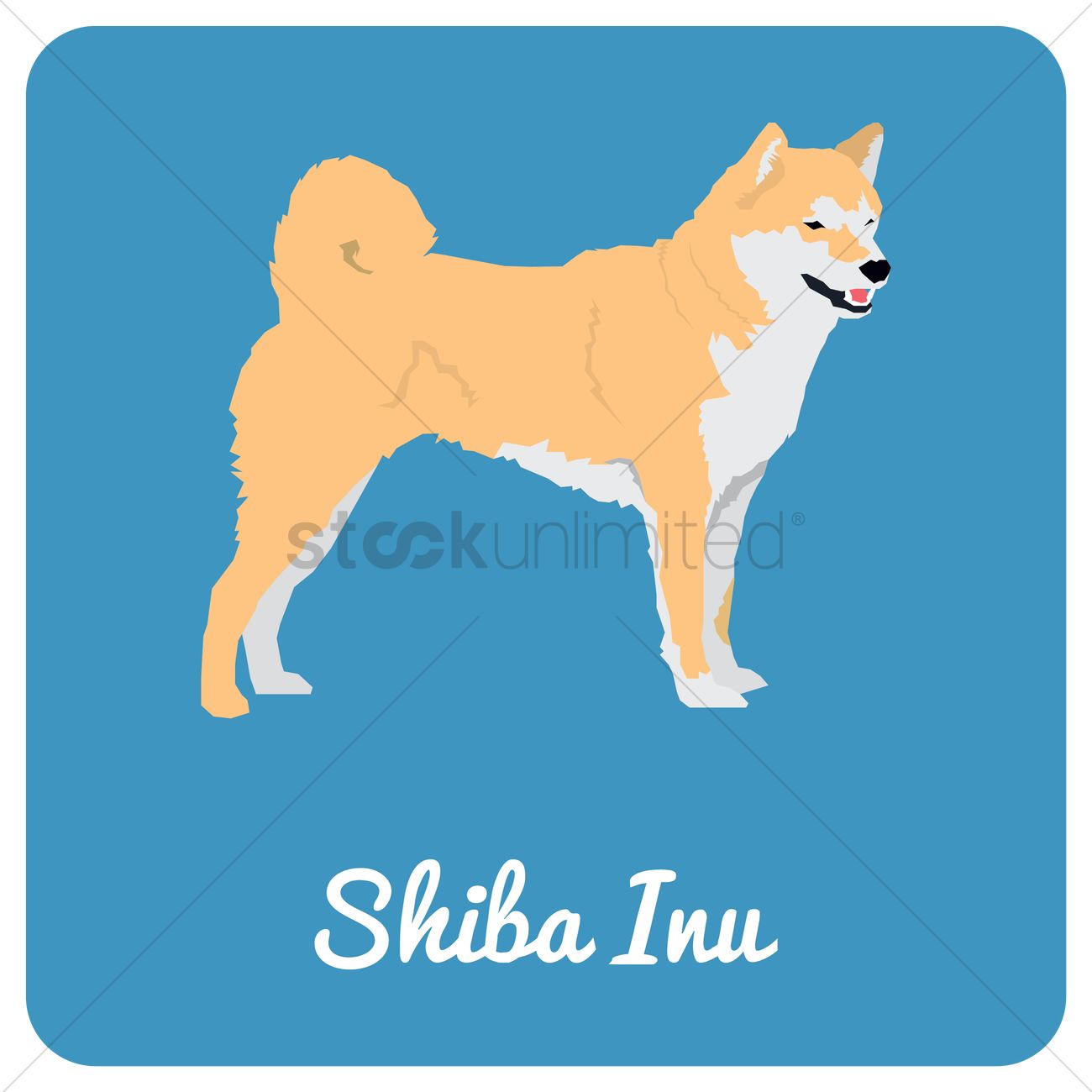 1300x1300 Shiba Inu Dog Vector Image