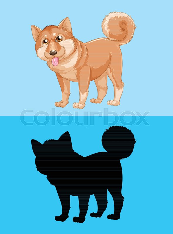 591x800 Shiba Inu Dog On Blue Screen Illustration Stock Vector Colourbox