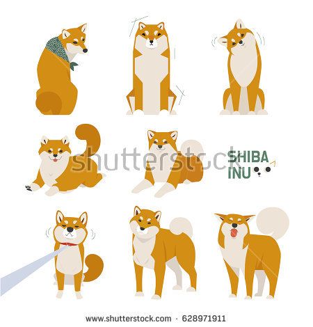 450x470 Japan Dog Shiba Inu Character Vector Illustration Flat Design