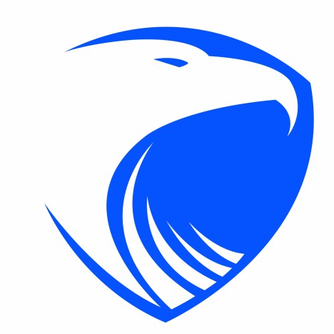 468x468 Eagle Shield Vectors Stock In Format For Free Download 740.57kb