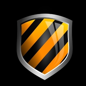 300x300 Vector Shield