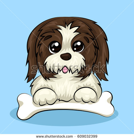 450x470 Shih Tzu Png Free Transparent Shih Tzu.png Images. Pluspng