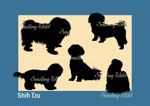 570x403 Shih Tzu Silhouette Svg Clipart Cut Out Dog Vector Graphic Art Etsy