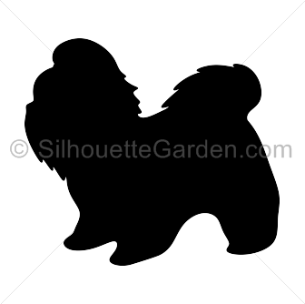 336x334 Shih Tzu Clipart