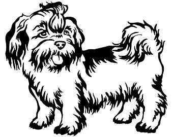 340x270 Shih Tzu Vector Etsy