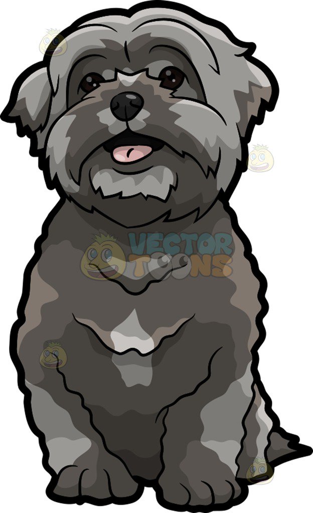 624x1024 A Super Cute Shih Tzu Puppy Clipart By Vector Toons