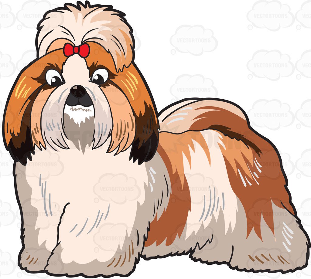 1024x919 A Very Lovely Shih Tzu Clipart By Vector Toons