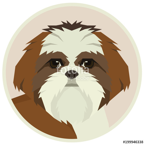 500x500 Dog Collection Shih Tzu Geometric Style Avatar Icon Round Stock