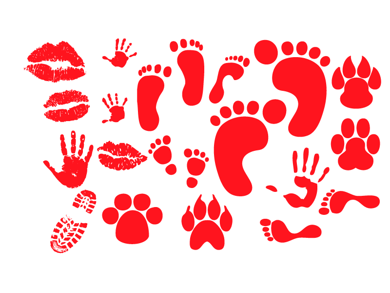 800x600 Footprint Animal Track Graphic Arts Clip Art