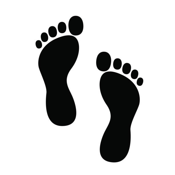 Shoe Sole Vector at GetDrawings | Free download