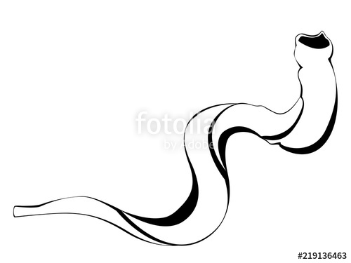 500x375 Jewish Shofar Illustration Stock Image And Royalty Free Vector