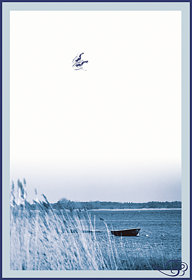 650x944 Jiangnan Background, Jiangnan, Shrimp, Boat Background Image For