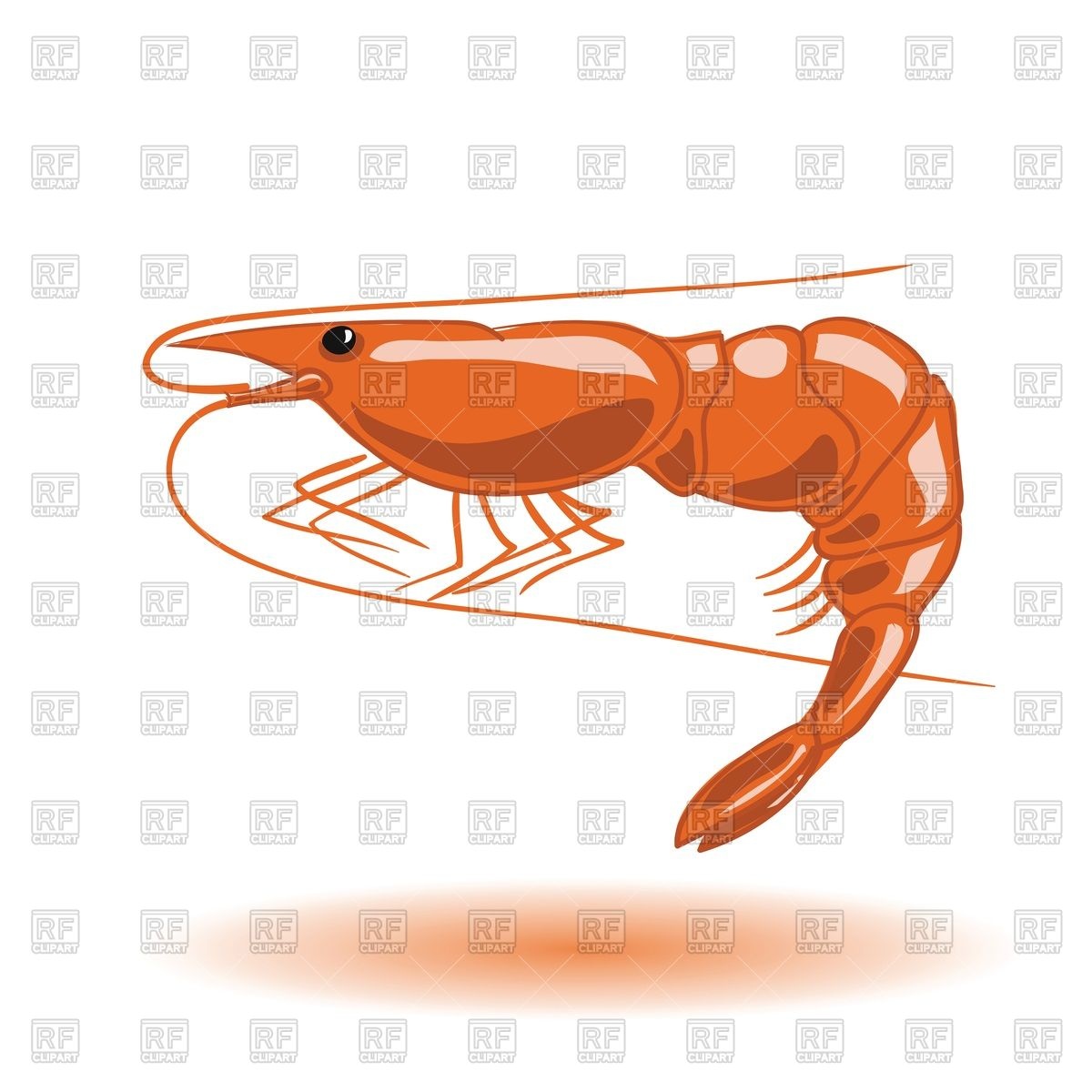 1200x1200 Orange Shrimp Vector Image Vector Artwork Of Plants And Animals