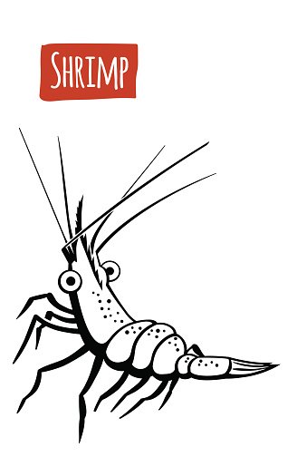 328x525 Shrimp, Vector Cartoon Illustration Premium Clipart