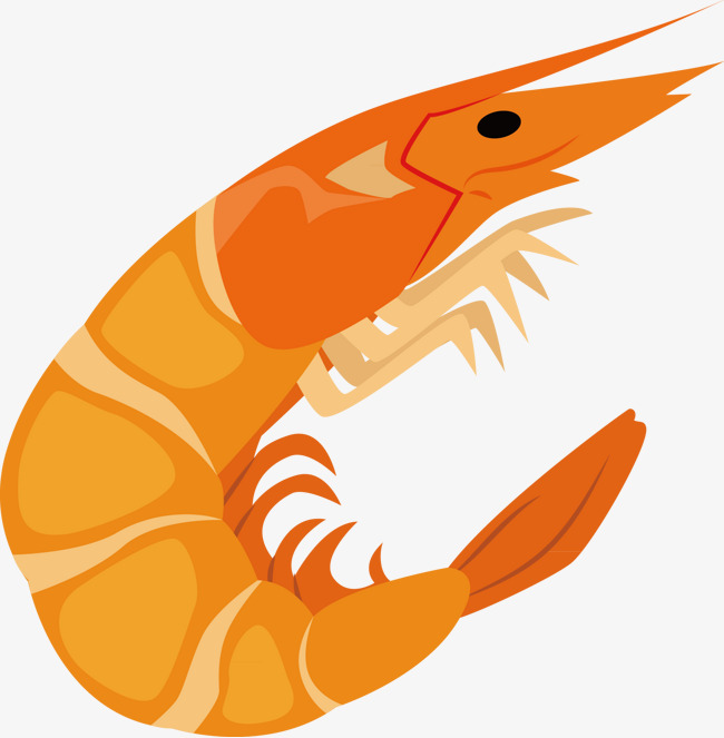 The best free Shrimp vector images. Download from 71 free vectors of ...