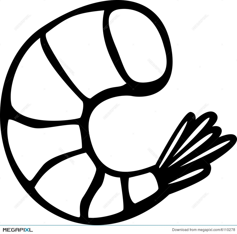800x788 Shrimp Vector Illustration Illustration 6110278