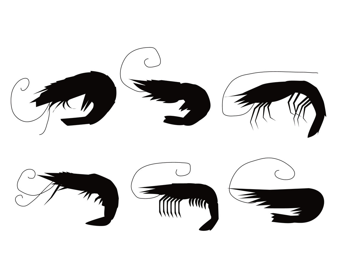 1136x936 Shrimp Vector Vector Art Amp Graphics