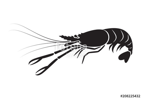 500x350 Graphic Shrimp, Vector Stock Image And Royalty Free Vector Files